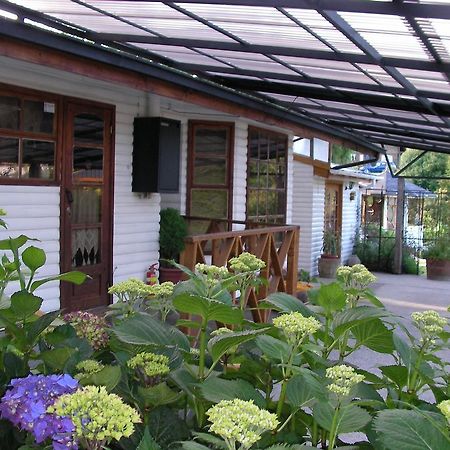 Complejo Cabanas Petalos Villarrica Exterior foto