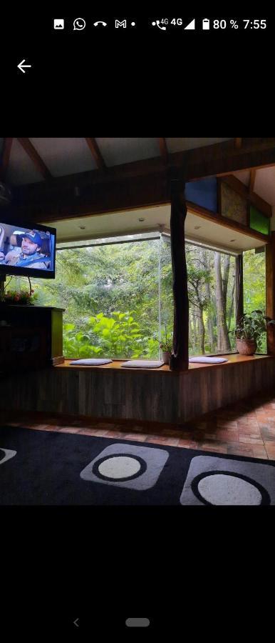 Complejo Cabanas Petalos Villarrica Exterior foto